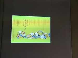 IMG 0849