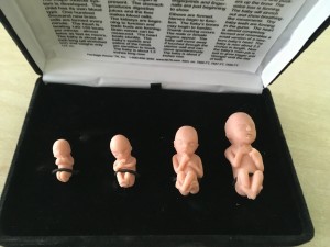 IMG 0864 (1)