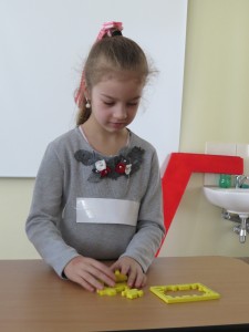 IMG 9528